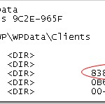 How to deleted a folder named with spaces
